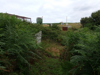  Vedendo la torre sullo sfondo